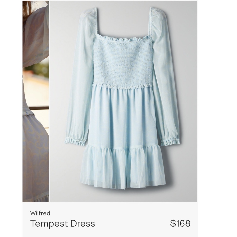 Aritzia Temptess Dress